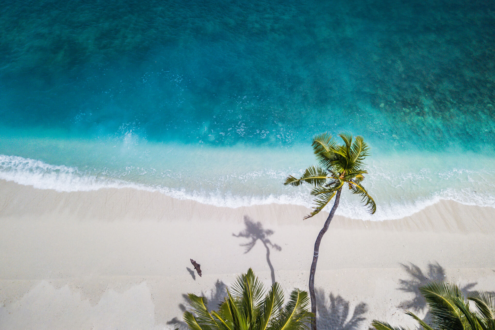 Experience the Maldives – Paradise Like No Other