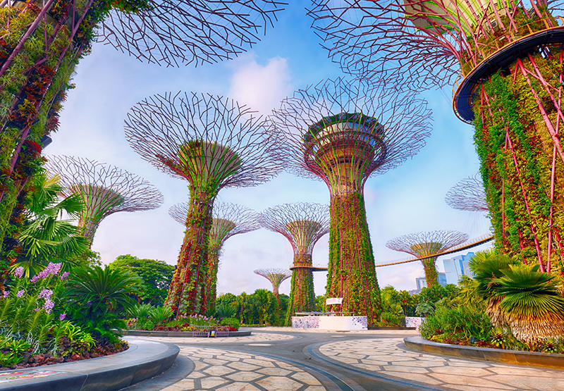 Discover the Magic of Singapore